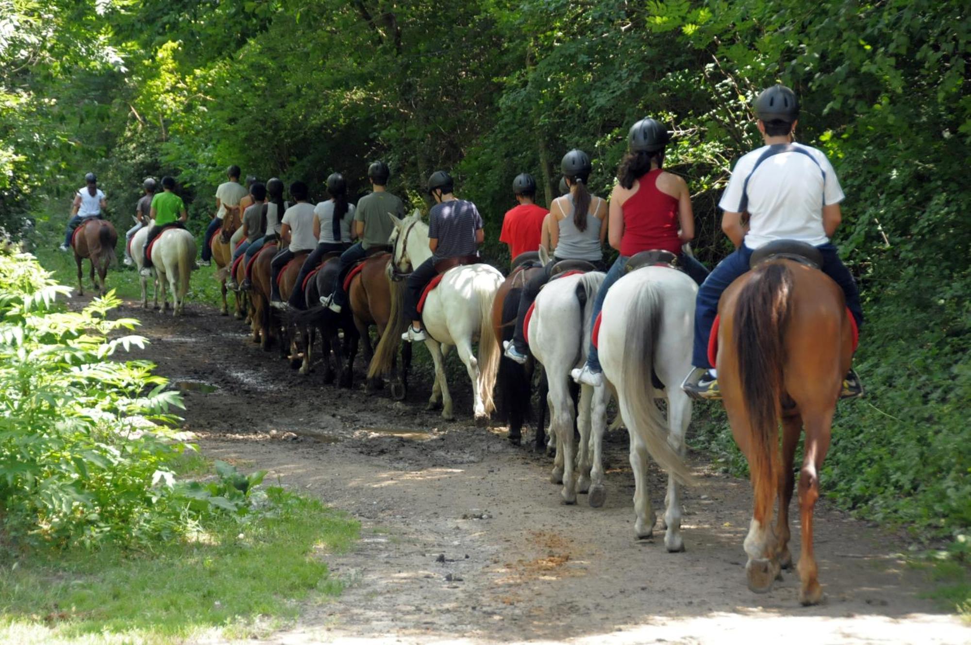 Camping Llavorsi Bagian luar foto
