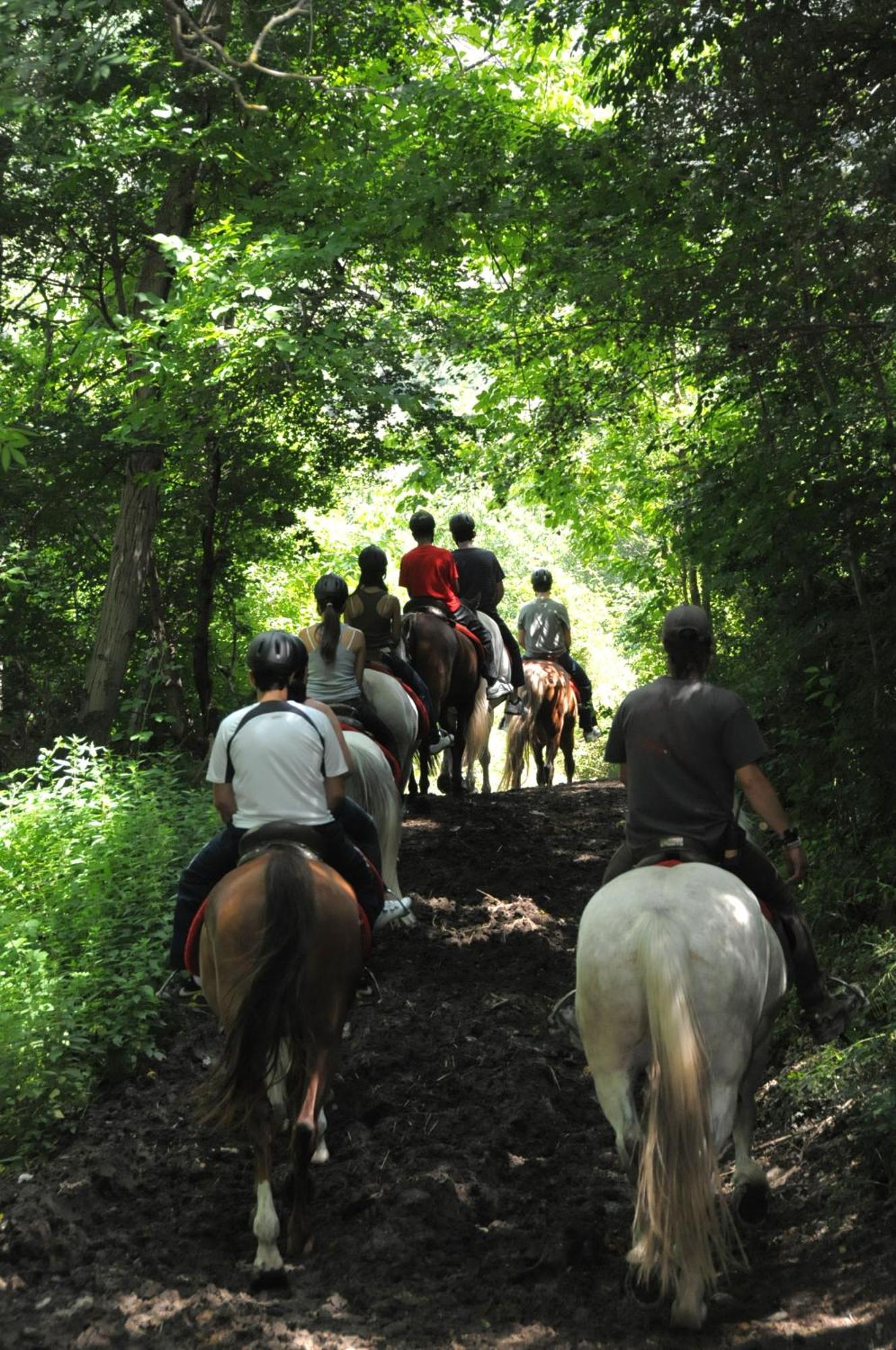 Camping Llavorsi Bagian luar foto