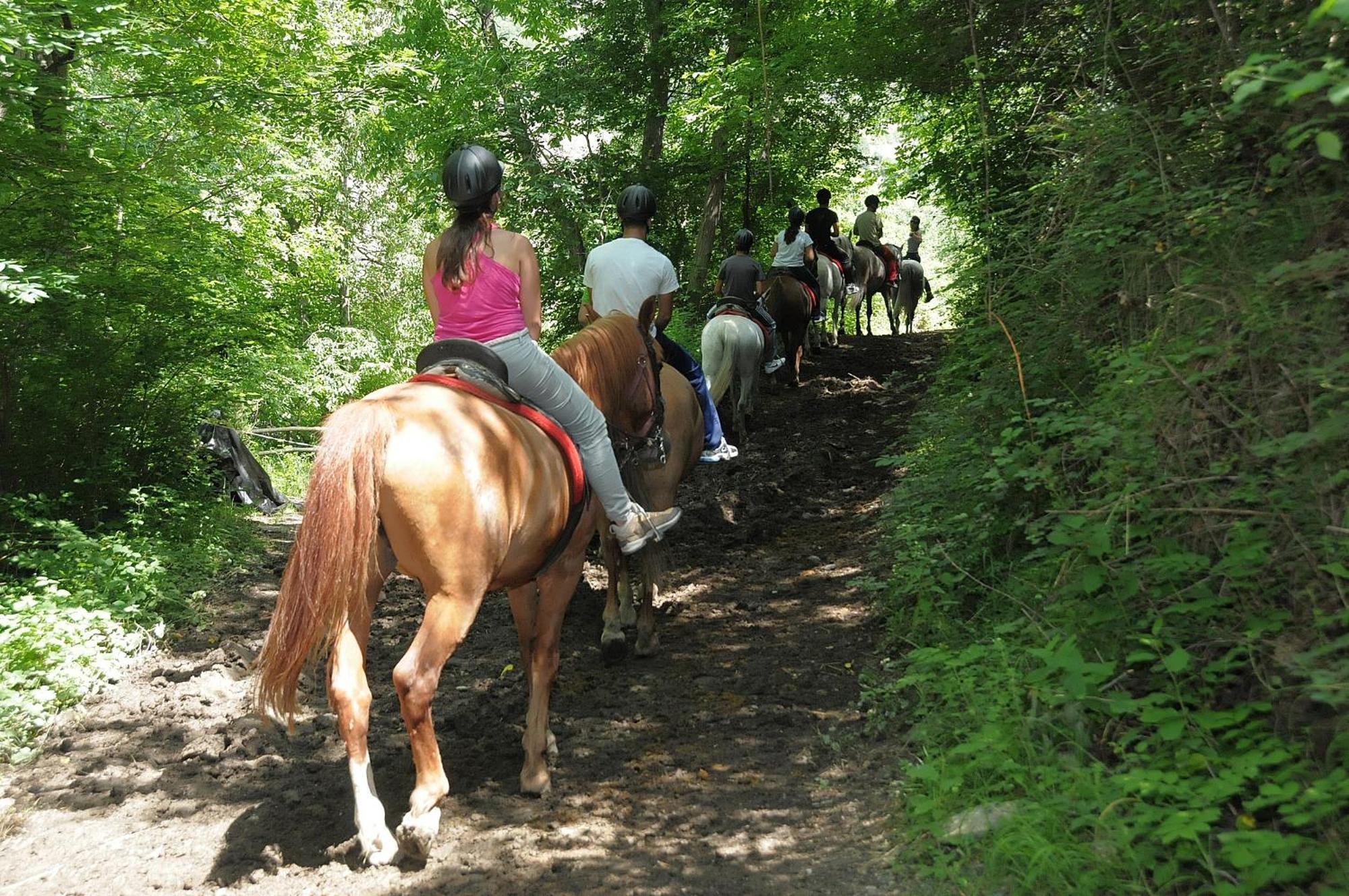 Camping Llavorsi Bagian luar foto